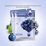 Blueberry Fruit Extract Korean Facial Sheet Mask - Image 2